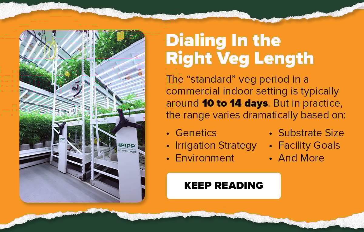 Dialing In the Right Veg Length