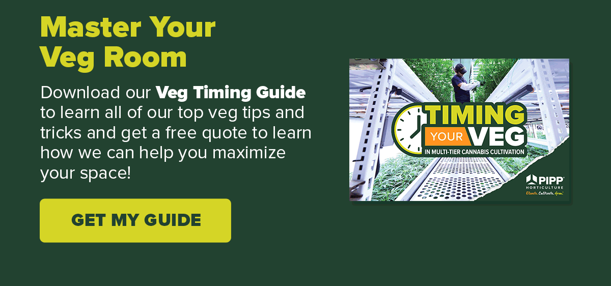 Master Your Veg Room