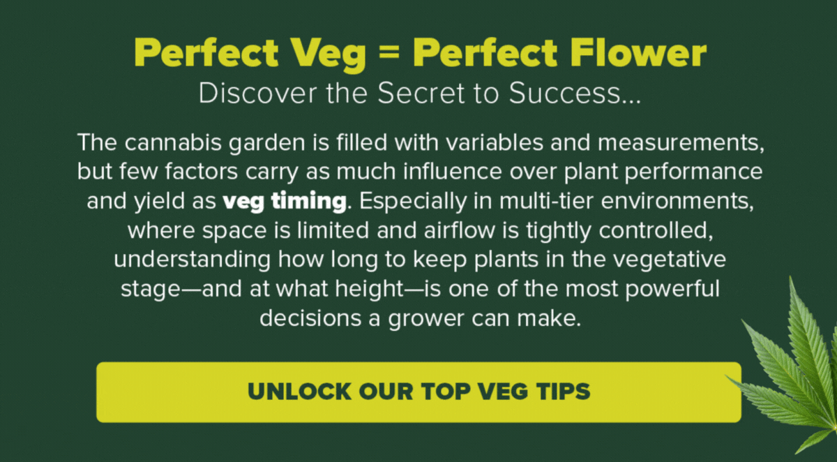 Unlock Our Top Veg Tips