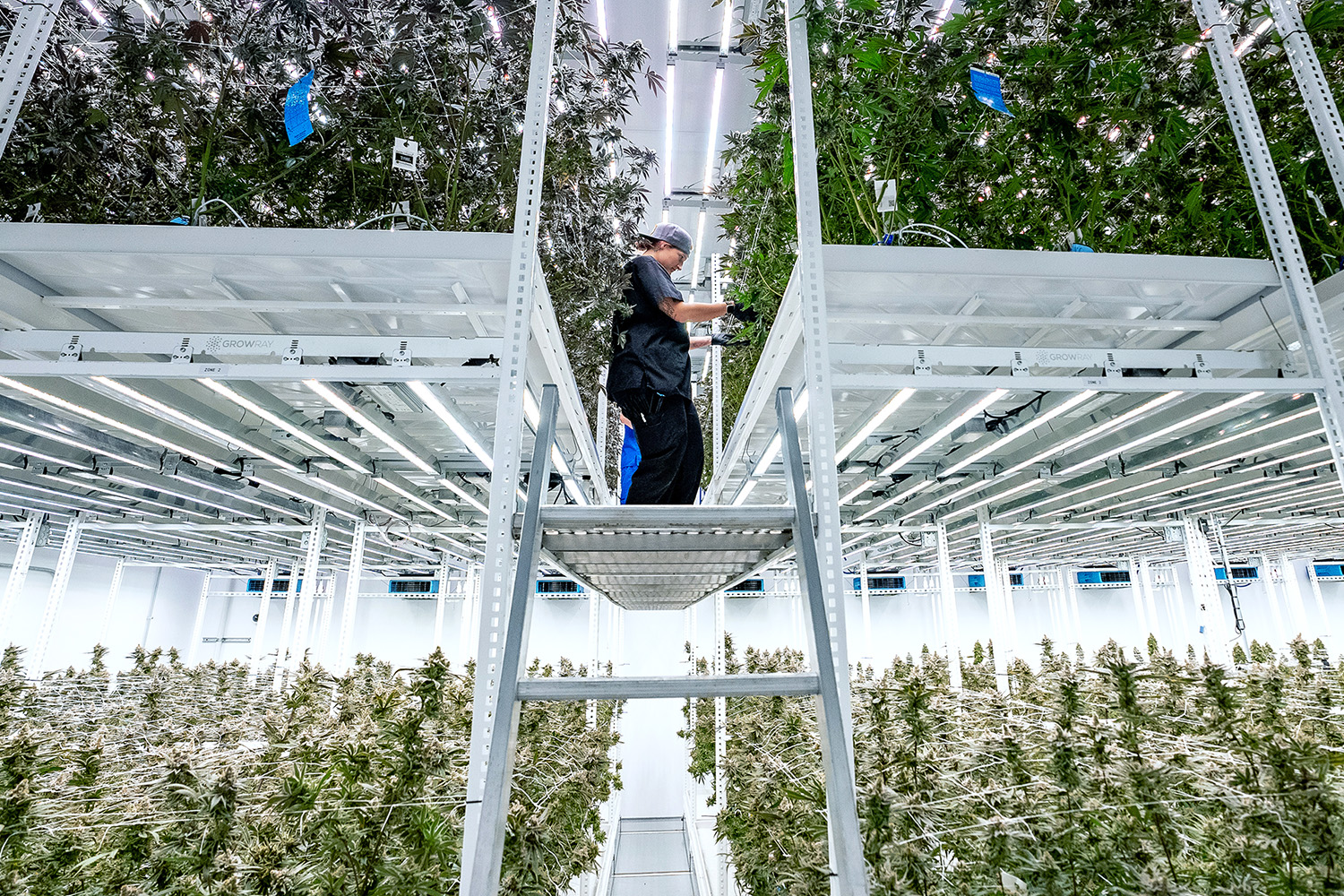 ELEVATE® Platform System