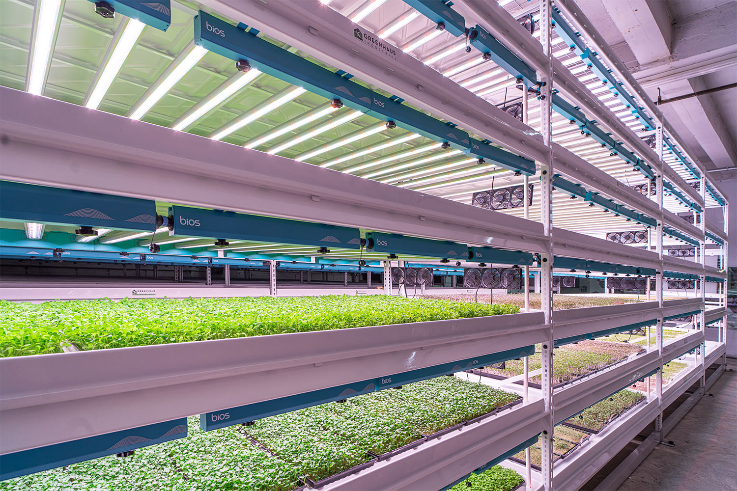 Vertical Grow Racks