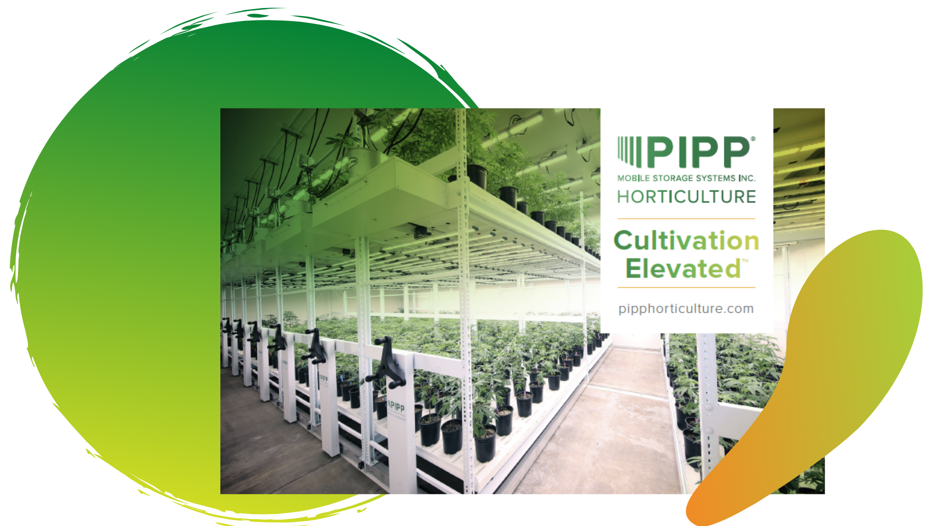 PippHorticultureBrochure